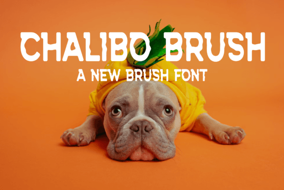 Chalibo Brush: A Stylish Font for Creative Marketing