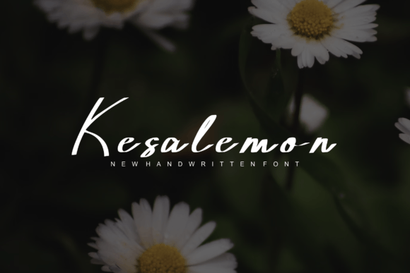 Kesalemon: A Bold Handwritten Font for Web Design