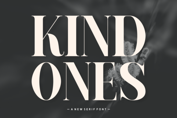 Kind Ones: A Warm Serif Font for Business